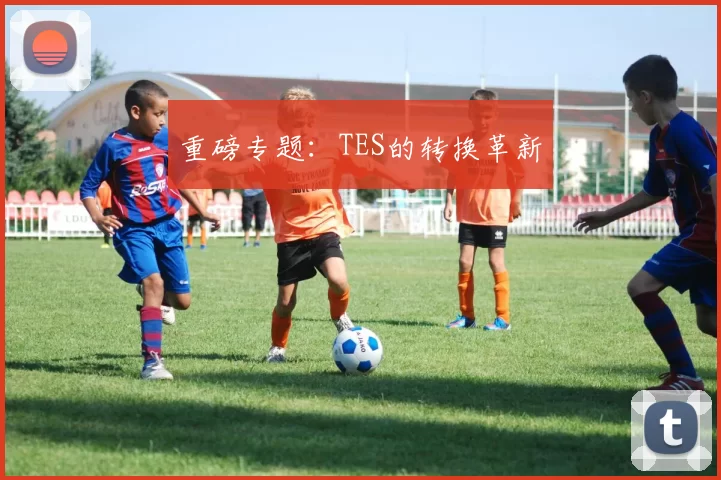 重磅专题：TES的转换革新