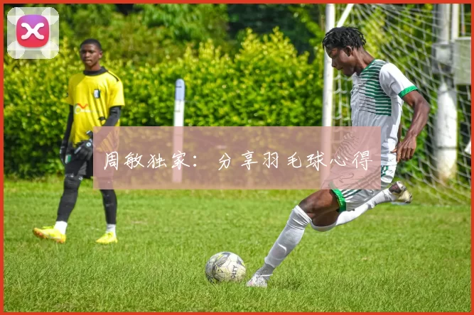 周敏独家：分享羽毛球心得