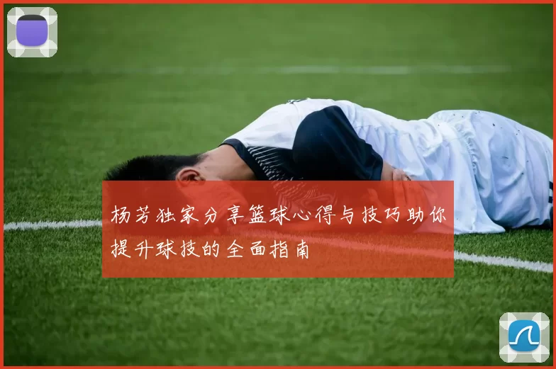 杨芳独家分享篮球心得与技巧助你提升球技的全面指南