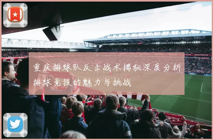 重庆排球队反击战术揭秘深度分析排球竞技的魅力与挑战