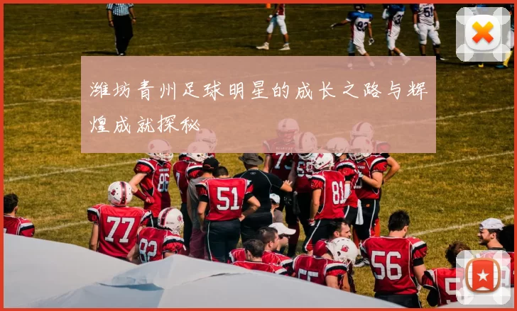 潍坊青州足球明星的成长之路与辉煌成就探秘